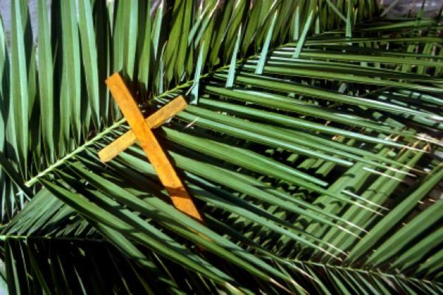 Palm SUnday