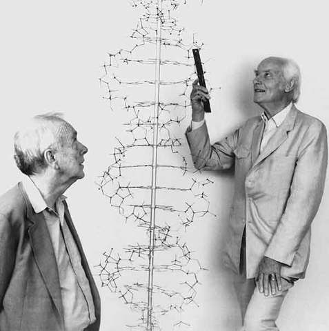 JAMES WATSON, FRANCIS CRICK Y MAURICE WILKINS SIGLO XX