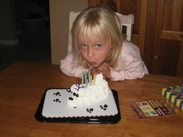 Emily's 6th Birthday