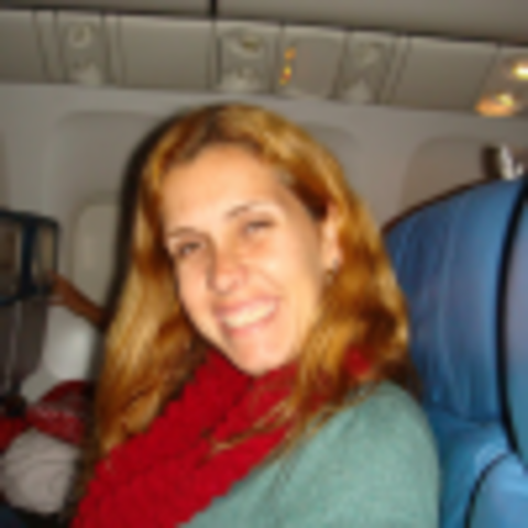 Quebra-cabeça do Mapa do Brasil Plugin: flash player