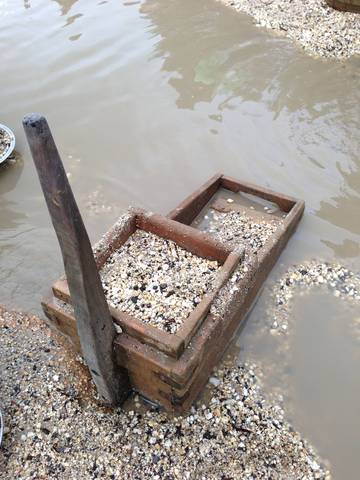 Gold licence introduced.