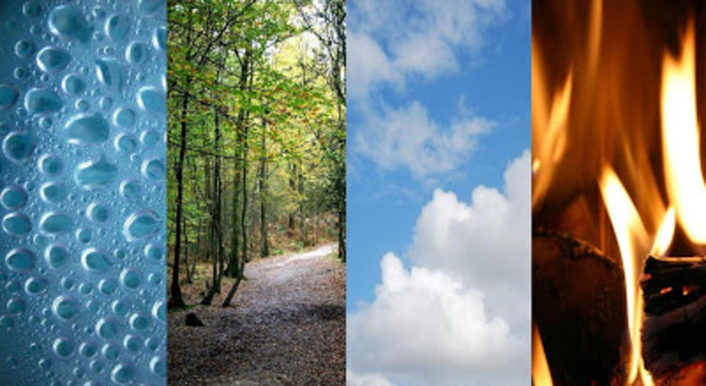 fuerza ambientalista