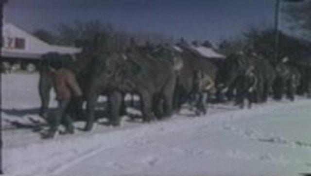 I was born to Fred and Nancy Fritts