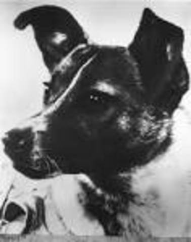 the first dog was sent into space