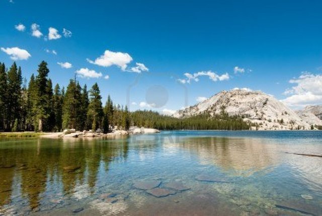 PARQUES  AMBIENTALES