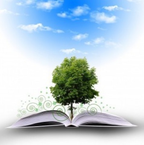 EDUCACION Y FORMACION AMBIENTAL