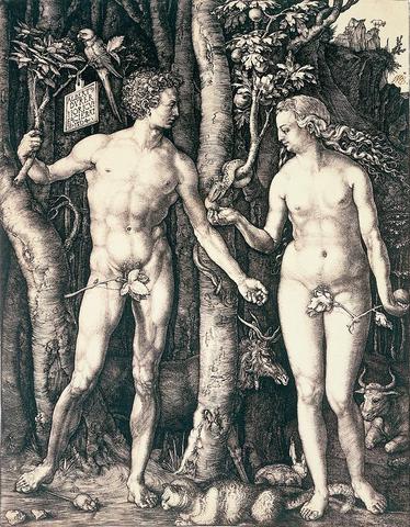 The Fall of Man by Albrecht Durer