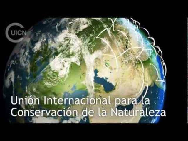 Unión Internacional para la Conservación de la Naturaleza y sus Recursos