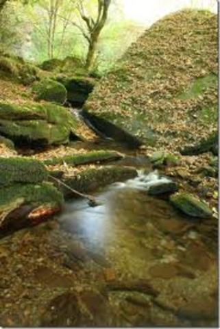 Declaración de Malmö