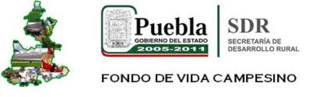 Mi primer trabajo formal