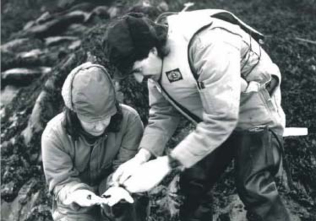 Evaluating the long term effects of the Exxon Valdez oil.