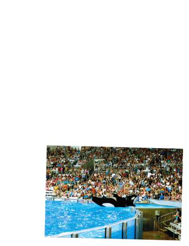 1st Visit to Sea World