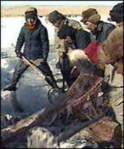 Fish harvest at all time low.