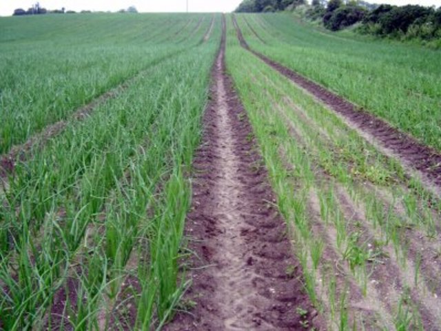 1813 first publicised used of fertiliser