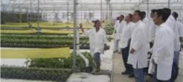 GRUPO DE INVESTIGACION GINAC