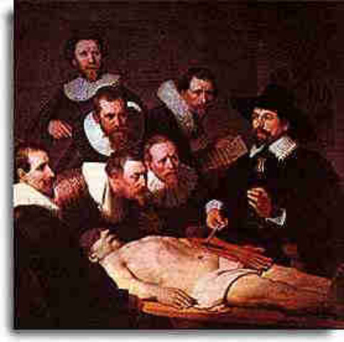 Primer manual basado en la disección práctica