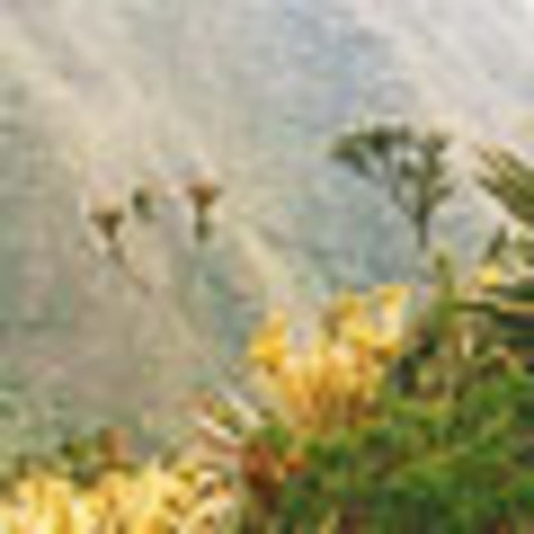 salida al santuario de flora y fauna iguaque