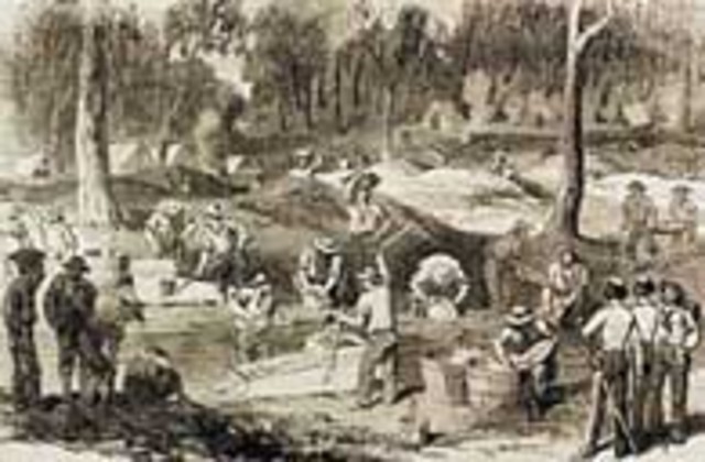 Eureka! Gold is found in queensland