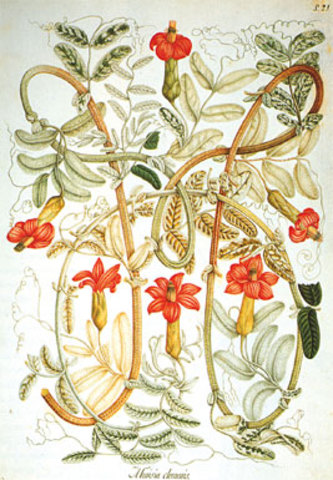 Expedición Botánica