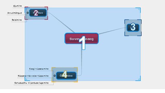Mõistekaardi esitlus