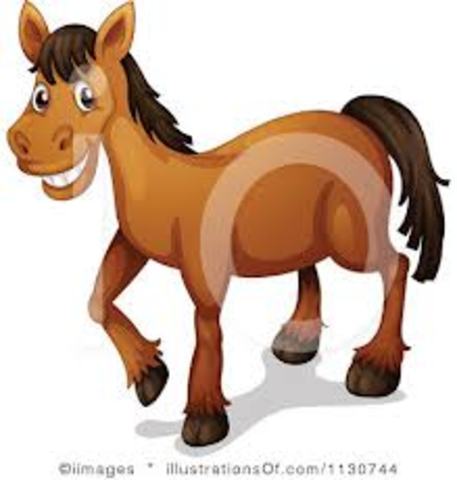 Learned how to ride a horse