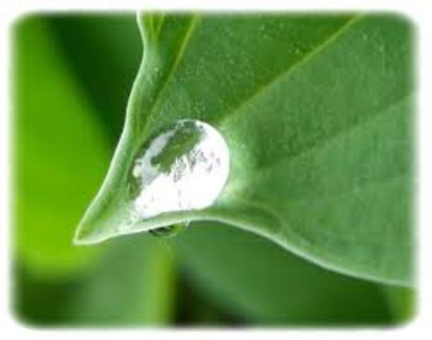 FUNDACION DE LA INGENIERIA AMBIENTAL Y SANITARIA EN LA UNIBOYACA