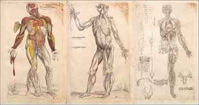 MEDICINA DE LA ILUSTRACIÓN