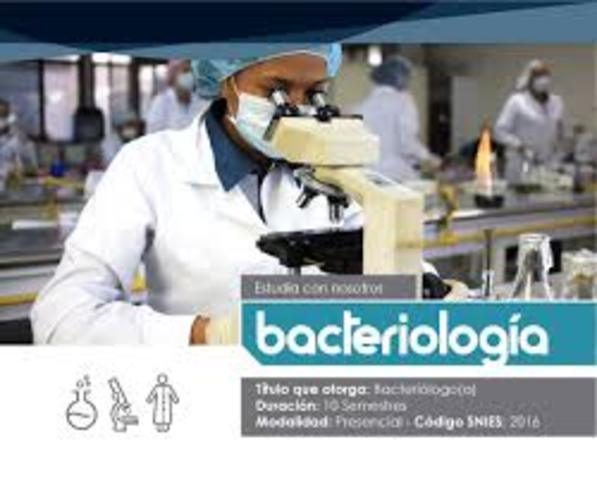 clasificacion sistematica de las bacterias