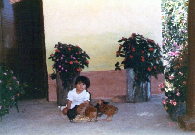 EN LA FINCA DE MIS ABUELOS