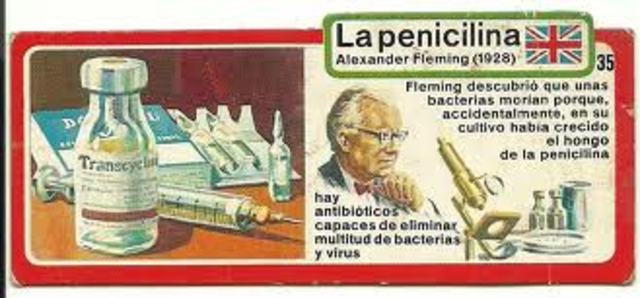Primer Antibiotico