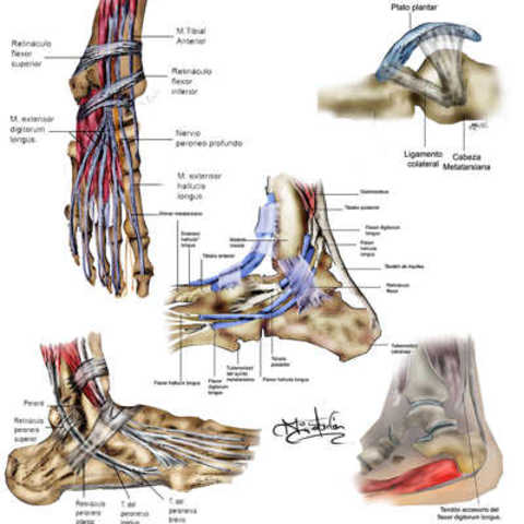 MEDICINA DE LA ILUSTRACION