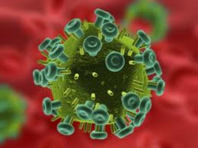 Descubrimiento del V.I.H