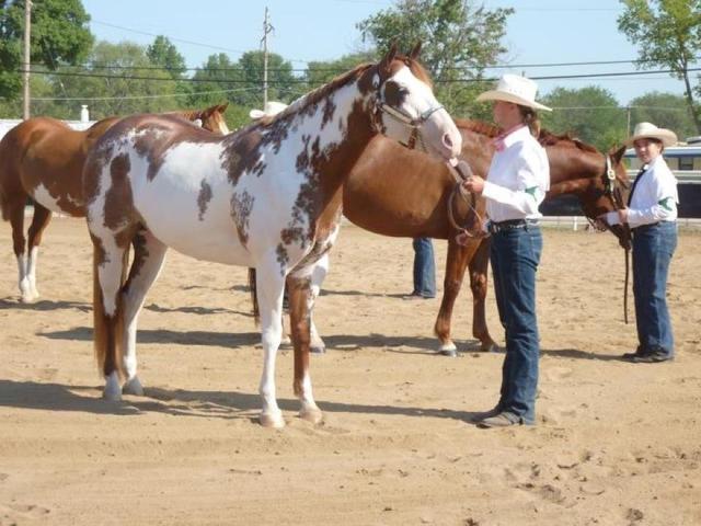 The first time I won Grand Champion with my horse at the fair.