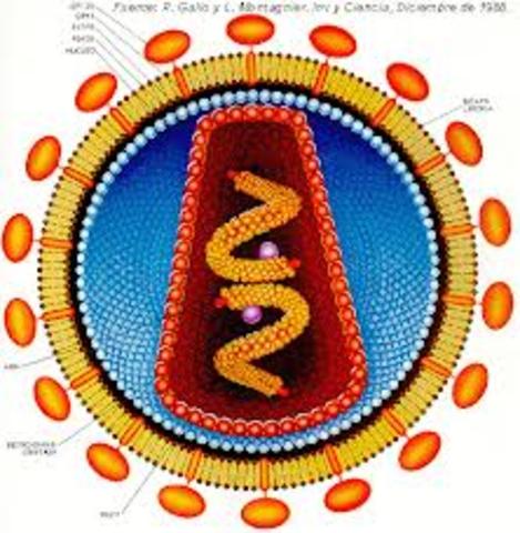 Robert Charles Gallo