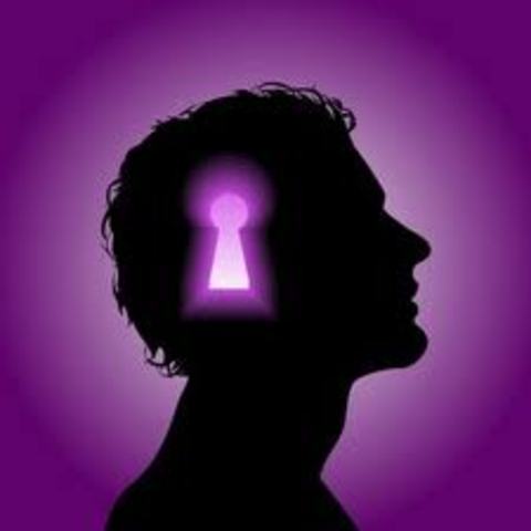 Teoría del Comportamiento en la Administración