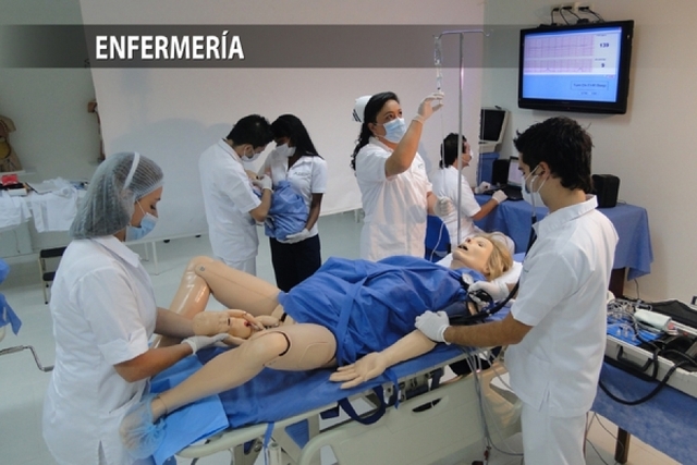 DECLARACION ALA ENFERMERIA