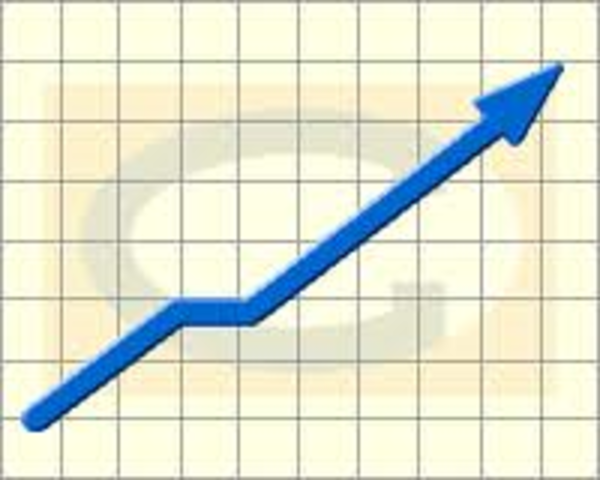 Teoria de la Excelencia Organizacional