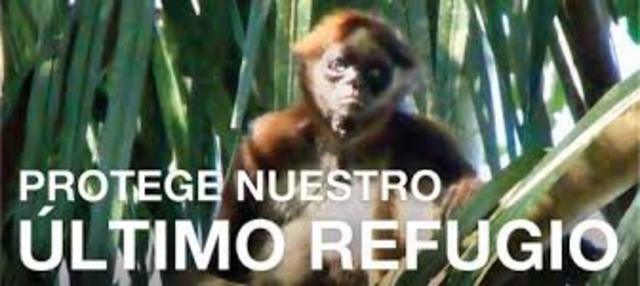 INICIO DE LA INGENIERIA AMBIENTAL EN COLOMBIA