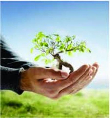 OTRAS UNIVERSIDADES EMPEZARON A OFRECER INGENIERIA AMBIENTAL A LOS ESTUDIANTES