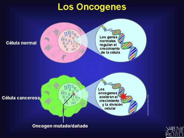 Oncogenes
