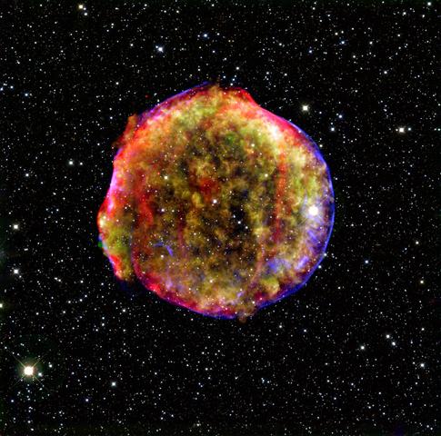 Observed Supernova