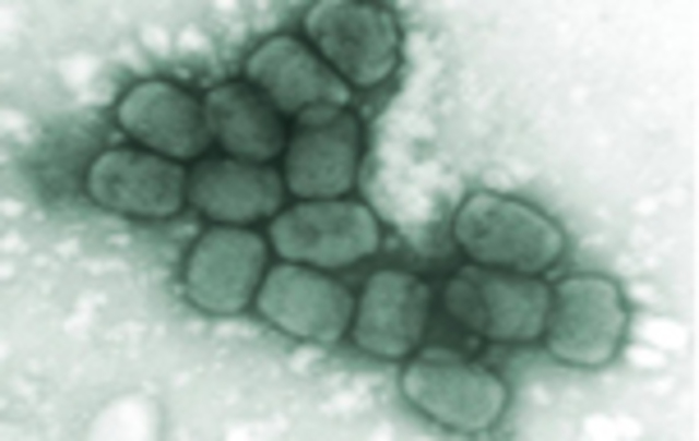 Erradicación de la viruela a través de la vacunación