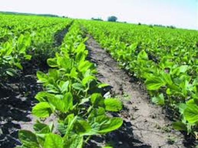 EMPIEZA LA ESTABILIDAD Y LA ACCION