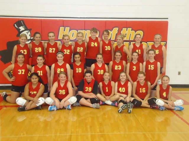 started volleyball jr high