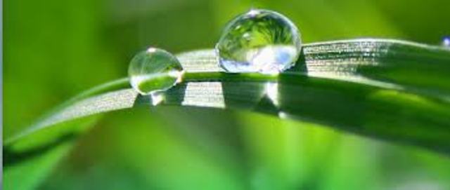 Día Mundial del Agua