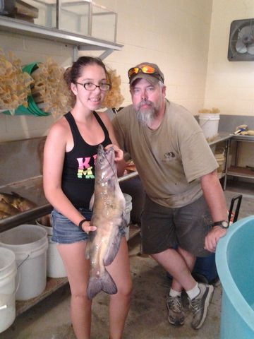 went to milford hatchery for the first time