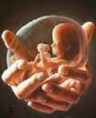 Fertilizacion in vitro