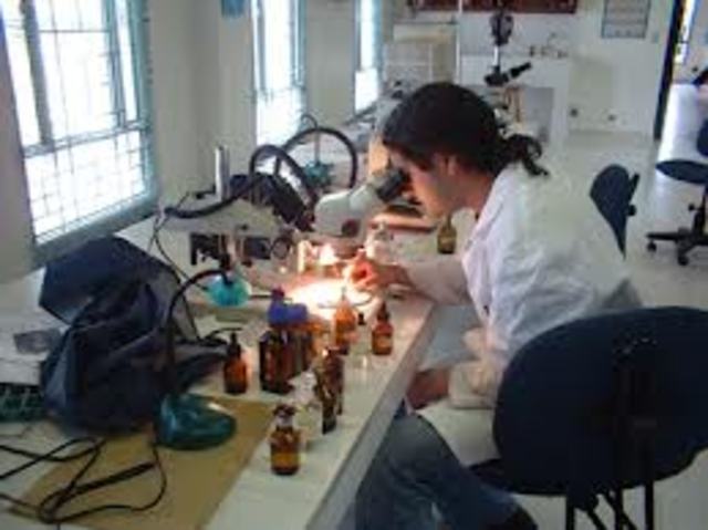 Creación de los laboratorios
