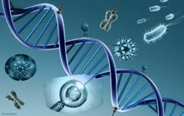causas geneticas de las enfermedades