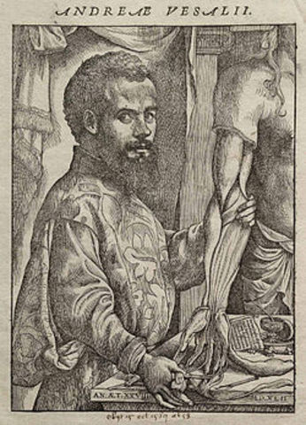 Vesalio